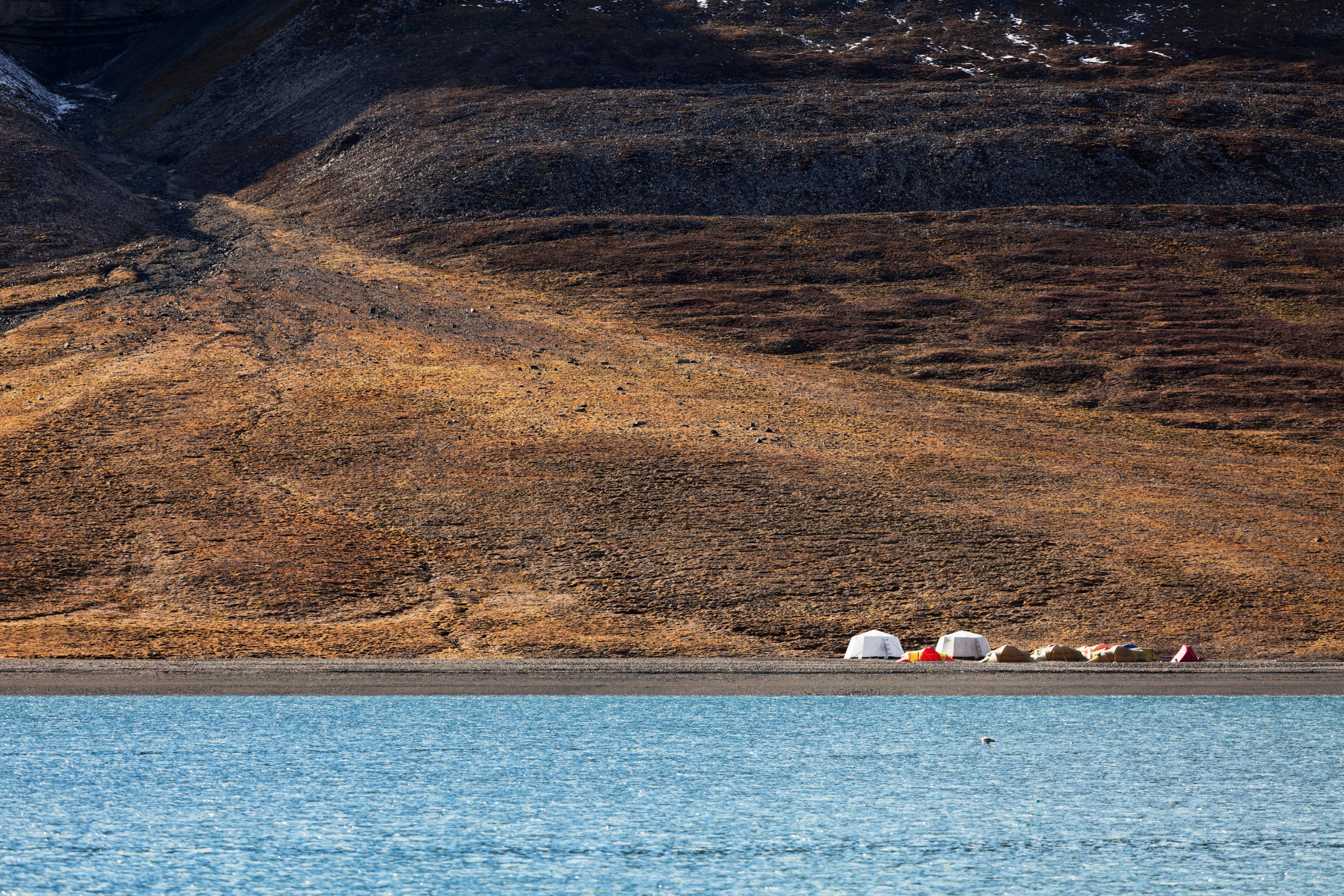 skansbukta bay (4).webp